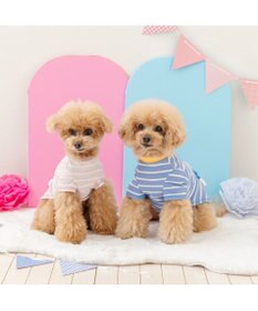 PET PARADISE ディズニー デイジーダック 手つなぎＴシャツ 接触冷感 中型犬 大型犬
