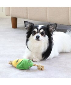 PET PARADISE 犬用品 ペットグッズ 犬 おもちゃ ペットパラダイス 犬 トイ TOY 焼きもろこし おもちゃ | 音が鳴る ぬいぐるみ ボール ロープ オモチャ 玩具 トイ TOY 小型犬 猫 かわいい おもしろ インスタ映え