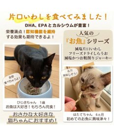 PET PARADISE ペットパラダイス 犬 おやつ デリスタイル8種類 ヘルシー系セット