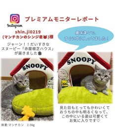 販売累計23000個】スヌーピー お庭付き赤い屋根の ハウス【小】 / PET