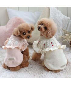 PET PARADISE ペットパラダイス 苺フリルニット  小型犬