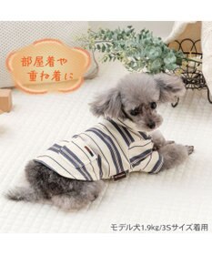 PET PARADISE ペットパラダイス ペティヒート Tシャツ 《マルチボーダー 》小型犬