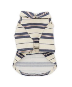 PET PARADISE ペットパラダイス ペティヒート Tシャツ 《マルチボーダー 》小型犬