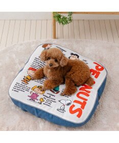 PET PARADISE スヌーピー フレンズ クッション