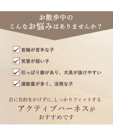 PET PARADISE ペットパラダイス アクティブハーネス 杢調 ＳＭ 中型犬