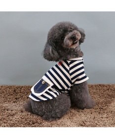楽天市場】犬 ハーネス リード Lee 小型犬 ボーダー | 犬用