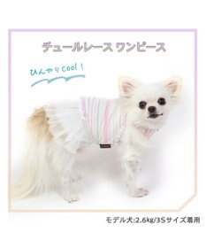 PET PARADISE 犬の服 夏 ひんやり クール メッシュ 接触冷感 虫よけ ボーダー ワンピース 【小型犬】クールマックスエコメイド
