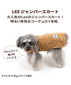 犬 服 Ｌｅｅ ワンピース 〔小型犬〕 コーデュロイ ブラウン 犬服 犬の