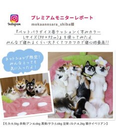 PET PARADISE ネット店限定 くすみ苺 クッション (90×92cm) 小型犬