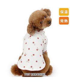PET PARADISE ペットパラダイス ペティヒート Tシャツ 《苺柄》 小型犬 超小型犬