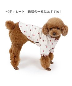 PET PARADISE ペットパラダイス ペティヒート Tシャツ 《苺柄》 小型犬 超小型犬