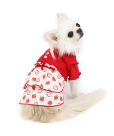 犬の服 犬 ワンピース 【小型犬】 苺柄 リブ ピンク レッド