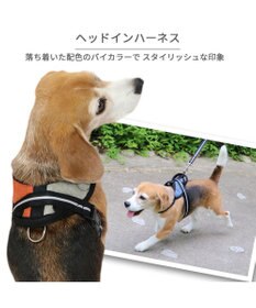 PET PARADISE ヘッドインハーネス  【ＳＭ】 オレンジ / ブルー 【中型犬】