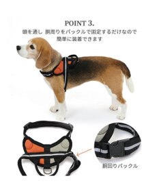 PET PARADISE ヘッドインハーネス  【SM】 オレンジ / ブルー 【中型犬】