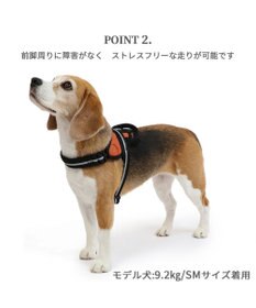 PET PARADISE ヘッドインハーネス  【SM】 オレンジ / ブルー 【中型犬】