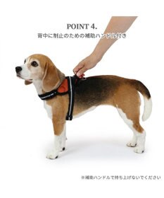 PET PARADISE ヘッドインハーネス  【SM】 オレンジ / ブルー 【中型犬】