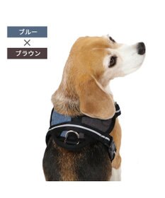 PET PARADISE ヘッドインハーネス  【ＳＭ】 オレンジ / ブルー 【中型犬】
