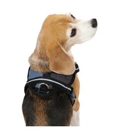 PET PARADISE ヘッドインハーネス  【SM】 オレンジ / ブルー 【中型犬】