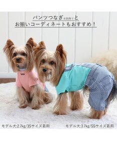 Lee ストライプデニム犬服 2着セット　サイズS 犬の服 犬 服 秋冬 Lee パンツ つなぎ 【小型犬】 ヒッコリー