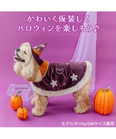 PET PARADISE ペットパラダイス 魔法つかいマント 中型犬 大型犬