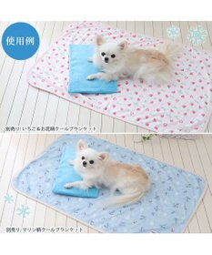 PET PARADISE ペットパラダイス やわらかアイス枕　水色