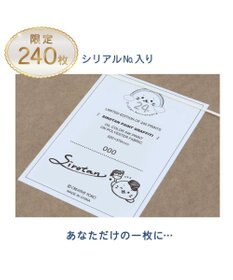 Mother garden しろたん アートボード 《ペイントアート》520×370mm SIROTAN PAINT GRAFFITI サイン＆シリアルナンバー入り