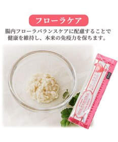PET PARADISE リアルフードスティック フローラケア 10g×8本 国産
