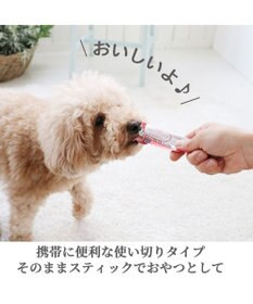 PET PARADISE リアルフードスティック フローラケア 10g×8本 国産