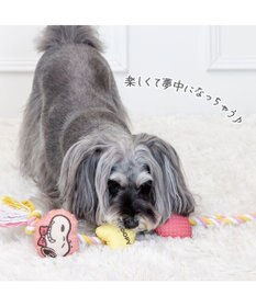 PET PARADISE スヌーピー ロング ロープ トイ
