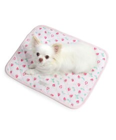 PET PARADISE ペットパラダイス クールマット 《いちご＆お花柄》 48×40㎝