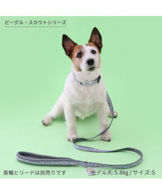 PET PARADISE スヌーピー 首輪 《 ビーグルスカウト》 S 小型犬