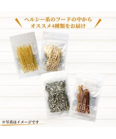 PET PARADISE ペットパラダイス 犬 おやつ デリスタイル4種類 ヘルシー系セットA