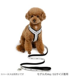 PET PARADISE Lee ロゴチャーム付き リード 4S~3S 小型犬