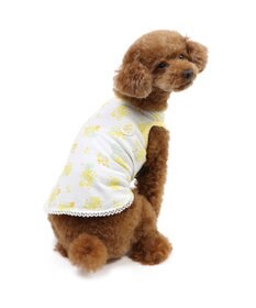 PET PARADISE ペットパラダイス はじめてタンクトップ 《ミモザ柄》 小型犬