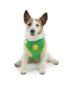 PET PARADISE ディズニー プルート クール 天竺 タンクトップ 小型犬