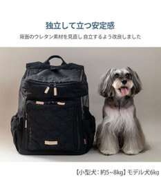 PET PARADISE ペットパラダイス ナチュラル キルティング ハグ&リュック L 小型犬