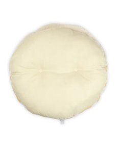 PET PARADISE ディズニー ミッキーマウス プルート 遠赤外線 くつろぎマット