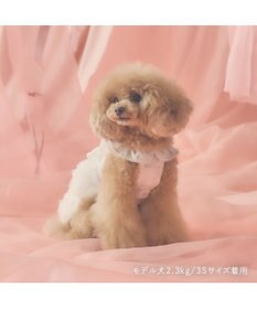 PET PARADISE cherircouture ローズチュールワンピース 《ホワイト》 小型犬