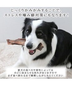 PET PARADISE 鹿 肩甲骨 デンタルおやつ Mサイズ×2本 純国産