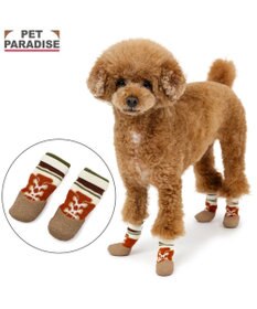PET PARADISE ペットパラダイス ボーダー フィット靴 ３Ｓ
