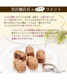 PET PARADISE キャットフード ウェット 缶 まぐろほぐし 75ｇ  《しらす/ 紅鮭/ ほたて》単品