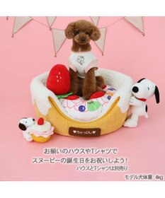 PET PARADISE スヌーピー ケーキノーズワーク トイ