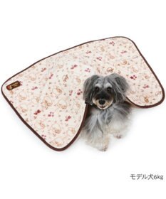 PET PARADISE ディズニー わんわん物語 レディ ブランケット