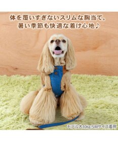 PET PARADISE ペットパラダイス スリム ハーネス＆リード 《デニム》 ＳＭ 中型犬