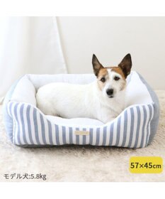 PET PARADISE ペットパラダイス　ストライプカドラー《 ブルー》 小型犬