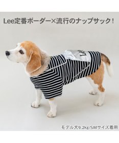 PET PARADISE Lee ナップサックＴシャツ シルバー 中型犬 大型犬