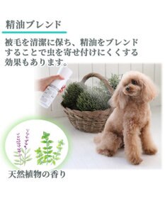 PET PARADISE モバイルシャワー 詰め替え 300ｍＬフローラルグリーンの香り