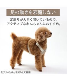 PET PARADISE ペットパラダイス くまちゃん アクティブハーネス ＳＳ 小型犬