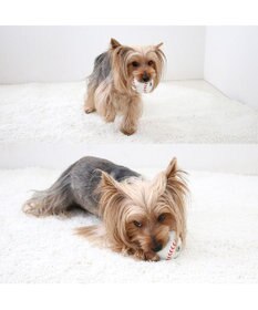 PET PARADISE スヌーピー 野球 ラテックストイ 小型犬 超小型犬