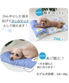 PET PARADISE スヌーピー 夏休み柄 クール ロールマット (90×45cm)